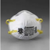 Dust Mask (3)